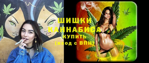 спиды Богданович