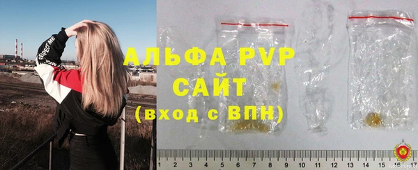 спиды Богданович