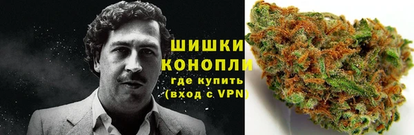 мдпв Богородицк